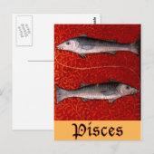 Fische2 Postkarte (Vorne/Hinten)