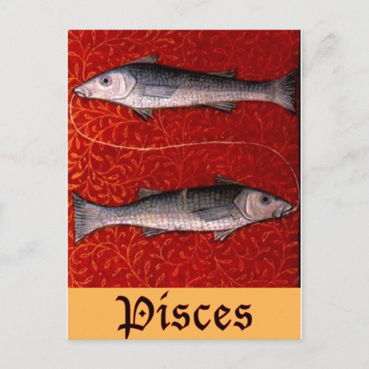 Fische2 Postkarte (Vorderseite)