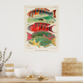 Fische 2 Poster (Küche)