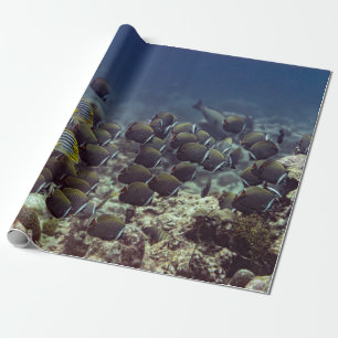 Fische am Korallenriff im ozeanischen Hintergrund, Geschenkpapier