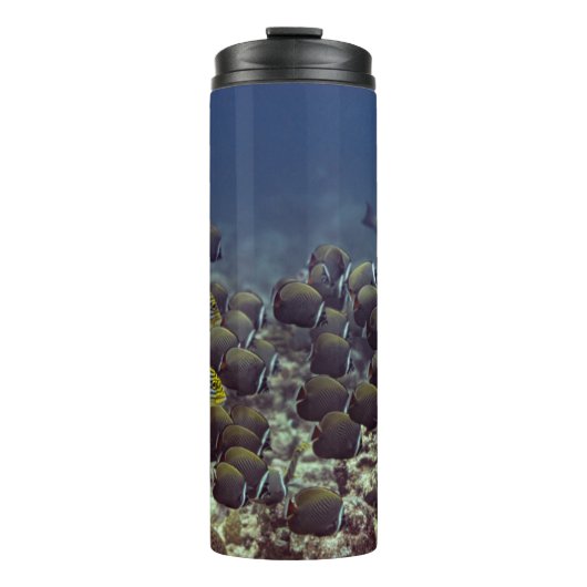 Fische am Korallenriff im ozeanischen Hintergrund, Thermosbecher (Vorderseite)