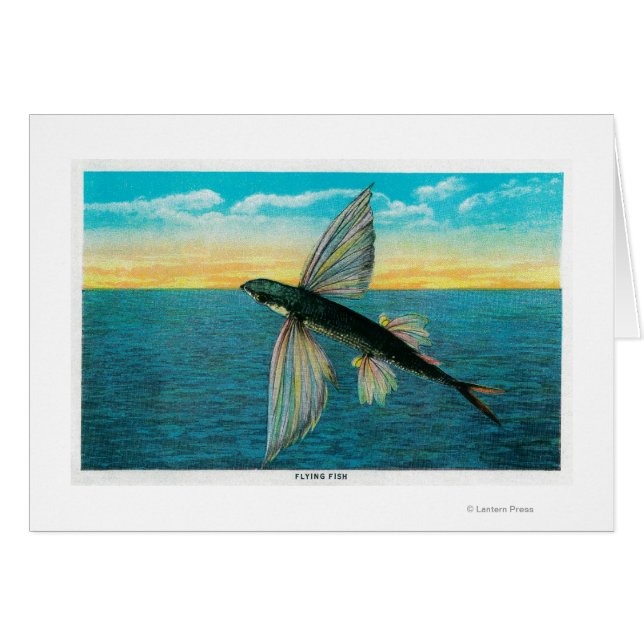 Fische auf der katalanischen Insel (Vorderseite (Horizontal))