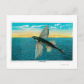 Fische auf der katalanischen Insel Postkarte (Vorderseite)