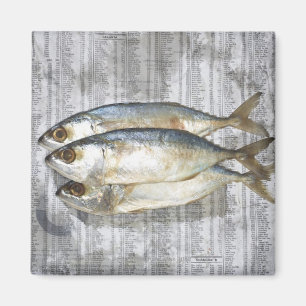 Fische auf Finanzzeitung, erhöhte Ansicht Magnet