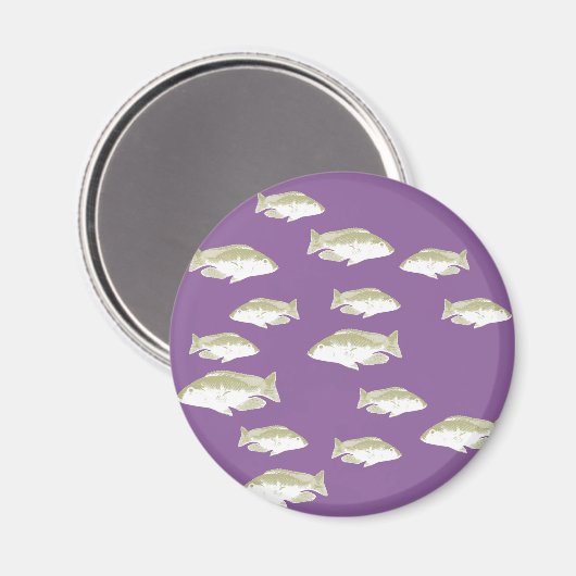 Fische auf lila magnet (Vorderseite/Rückseite)