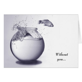 Fische aus Wasser heraus