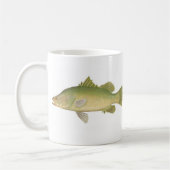 Fische - Barramundi - Lates calcarifer B/store Kaffeetasse (Links)