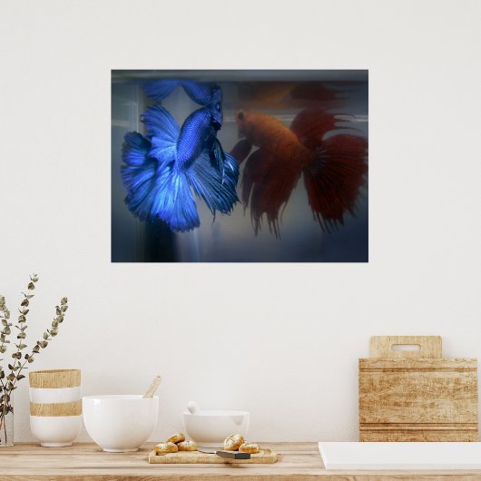 Fische bekämpfen poster (Küche)