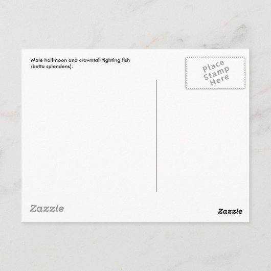 Fische bekämpfen postkarte (Rückseite)