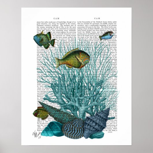 Fische, blaue Muscheln und Korallen Poster (Vorne)