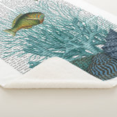 Fische, blaue Muscheln und Korallen Sherpadecke (3/4)