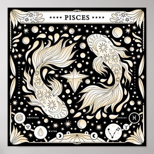 Fische: Der Dreamweader Starglider Poster (Vorne)