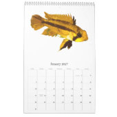 Fische der Welt 2010 Kalender (Jan 2027)