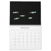 Fische der Welt Kalender (Feb 2027)