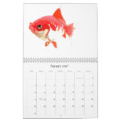 Fische der Welt Kalender (Jan 2027)