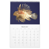 Fische der Welt Kalender (Mär 2027)