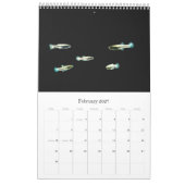 Fische der Welt Kalender (Feb 2027)