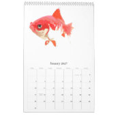 Fische der Welt Kalender (Jan 2027)