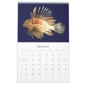 Fische der Welt Kalender (Mär 2026)