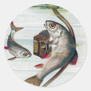 Fische, die Accordion und Wasserlilie spielen Runder Aufkleber