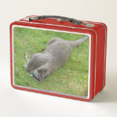 Fische essen europäische Otter-Lunch Box Metall Brotdose (Rückseite)