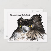 Fische Eule-Pust-Postkarte Postkarte (Vorne/Hinten)