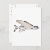 Fische Exocoetidae Postkarte (Vorne/Hinten)