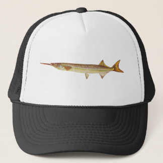 Fische - FlussGarfish - Hyporhamphus regularis Truckerkappe
