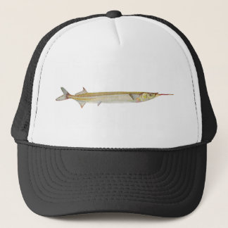 Fische - Garfish - Hyporhamphus intermedius Truckerkappe