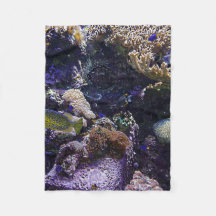 Fische im Korallenriff