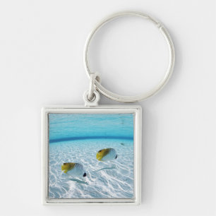 Fische im Meer 2 Schlüsselanhänger