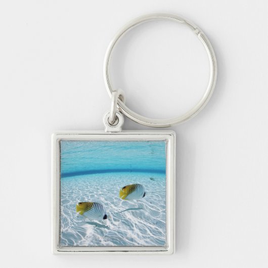 Fische im Meer 2 Schlüsselanhänger (Vorne)