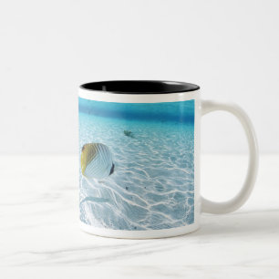 Fische im Meer 2 Zweifarbige Tasse