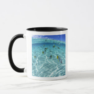 Fische im Meer 3 Tasse
