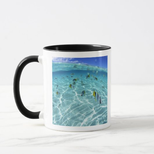 Fische im Meer 3 Tasse (Links)