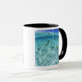 Fische im Meer 3 Tasse (VorderseiteRechts)
