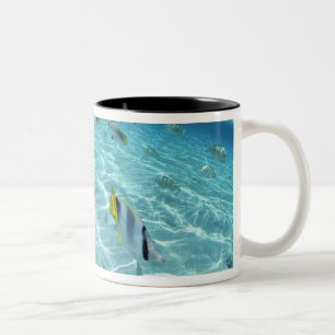 Fische im Meer 3 Zweifarbige Tasse