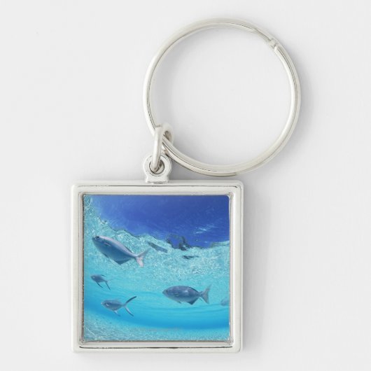 Fische im Meer 4 Schlüsselanhänger (Vorne)