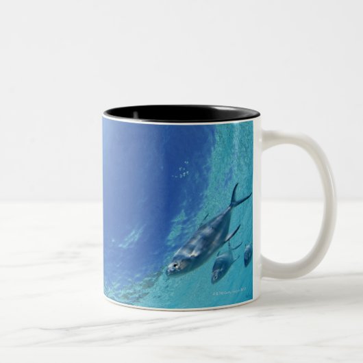 Fische im Meer Zweifarbige Tasse (Rechts)