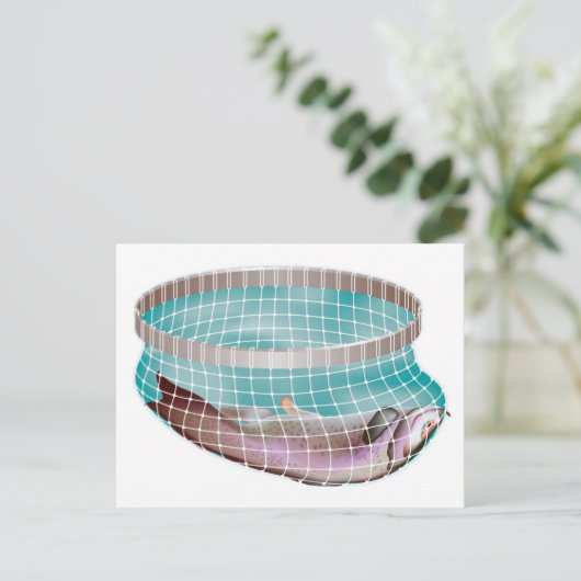 Fische im Netz Postkarte (Stehend Vorderseite)