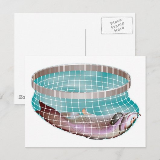 Fische im Netz Postkarte (Vorne/Hinten)