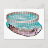 Fische im Netz Postkarte (Vorderseite)