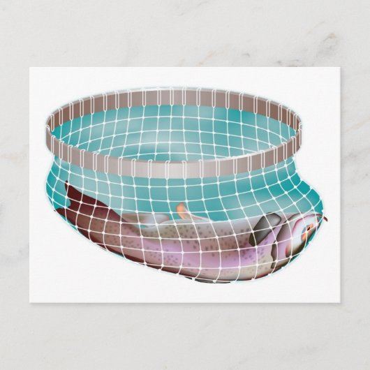 Fische im Netz Postkarte (Vorderseite)