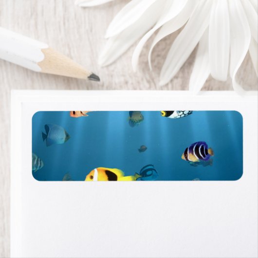 Fische im Ozean (Insitu)