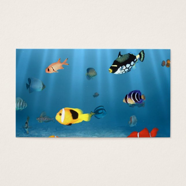 Fische im Ozean (Vorderseite)