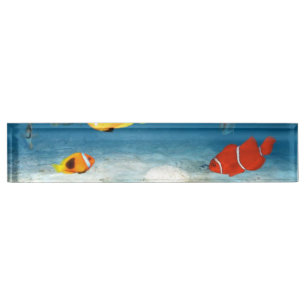 Fische im Ozean Namensplakette