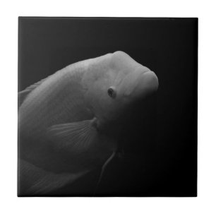 Fische im Tank - Schwarz-Weiß-Kunstfotos Fliese
