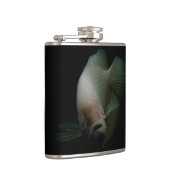 Fische im Tankportrait Flachmann (Rechts)