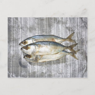 Fische in der Finanzzeitung, erhöhte Sicht Postkarte