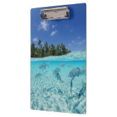 Fische in Meer Klemmbrett (Links)